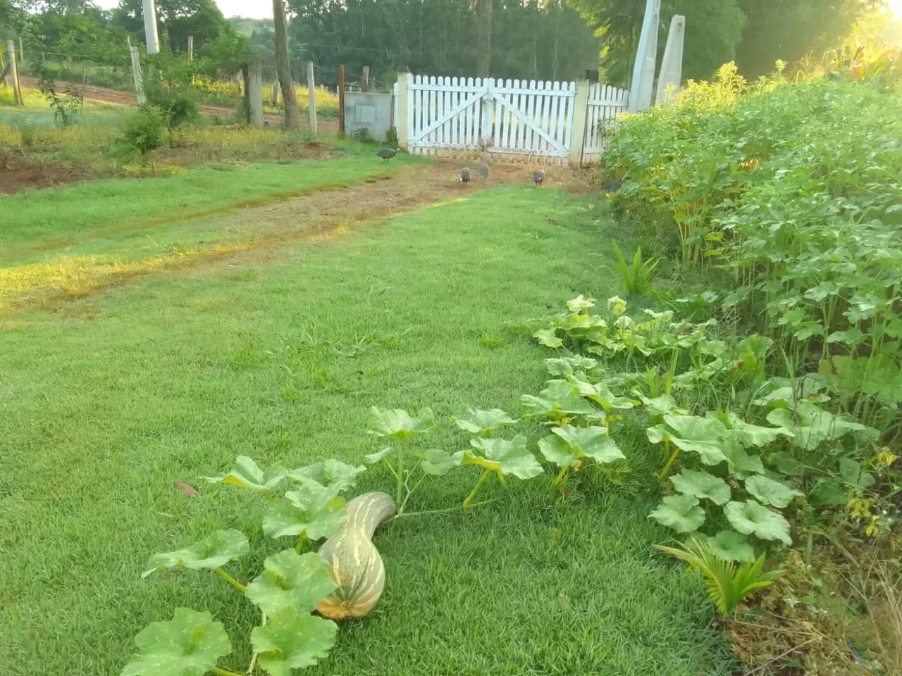 Chácara à venda de 7.500 m² em Guareí, SP, Brasil