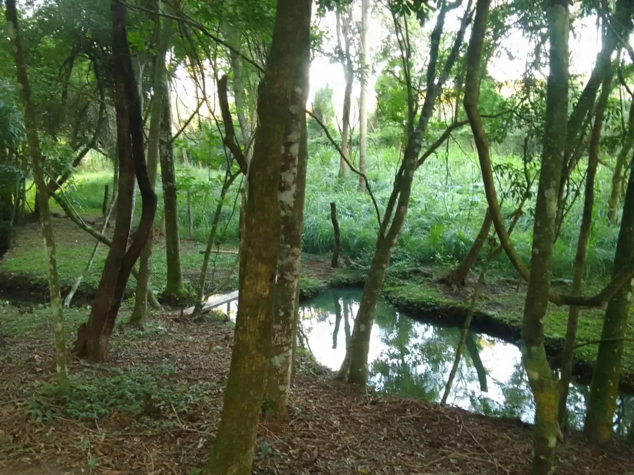 Chácara à venda de 7.500 m² em Guareí, SP, Brasil
