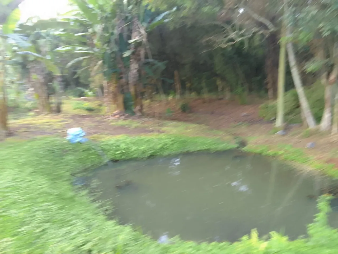 Chácara à venda de 7.500 m² em Guareí, SP, Brasil