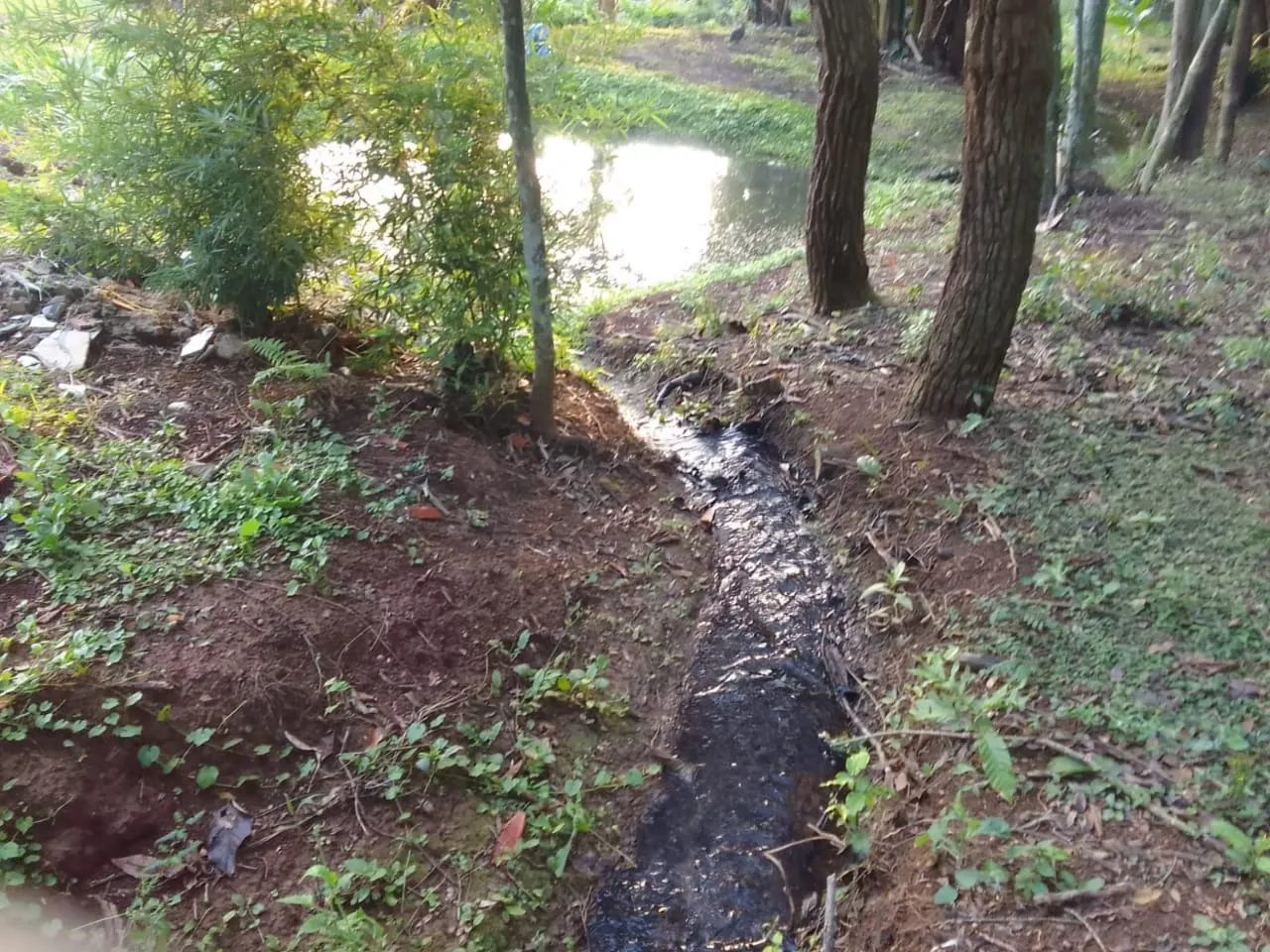Chácara à venda de 7.500 m² em Guareí, SP, Brasil