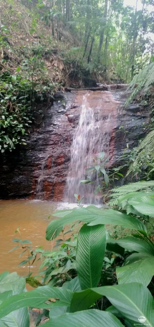 Sítio à venda de 24 ha em Caçapava, SP, Brasil