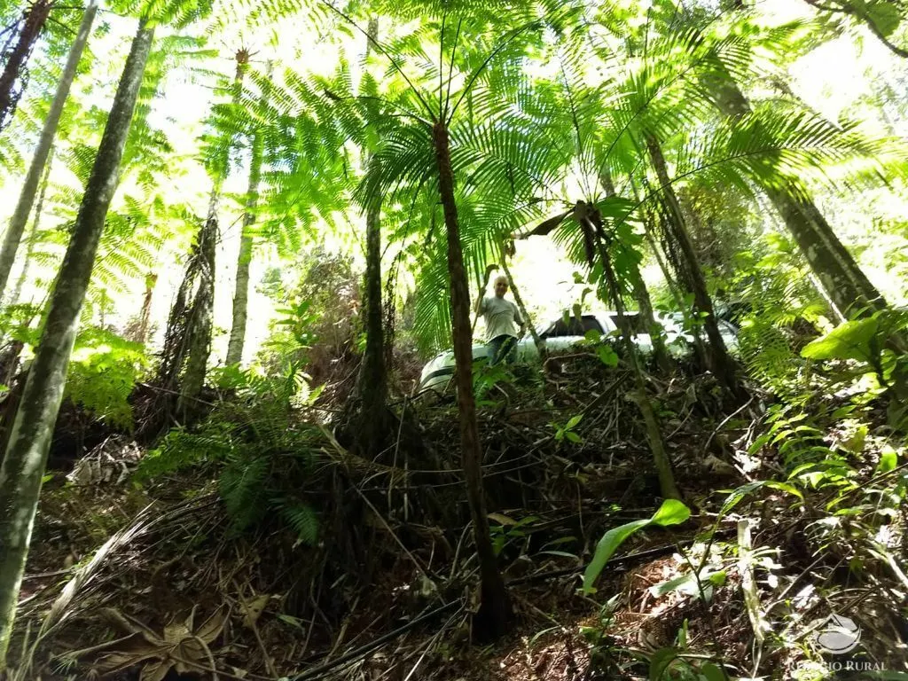 Sítio à venda de 24 ha em Caçapava, SP, Brasil