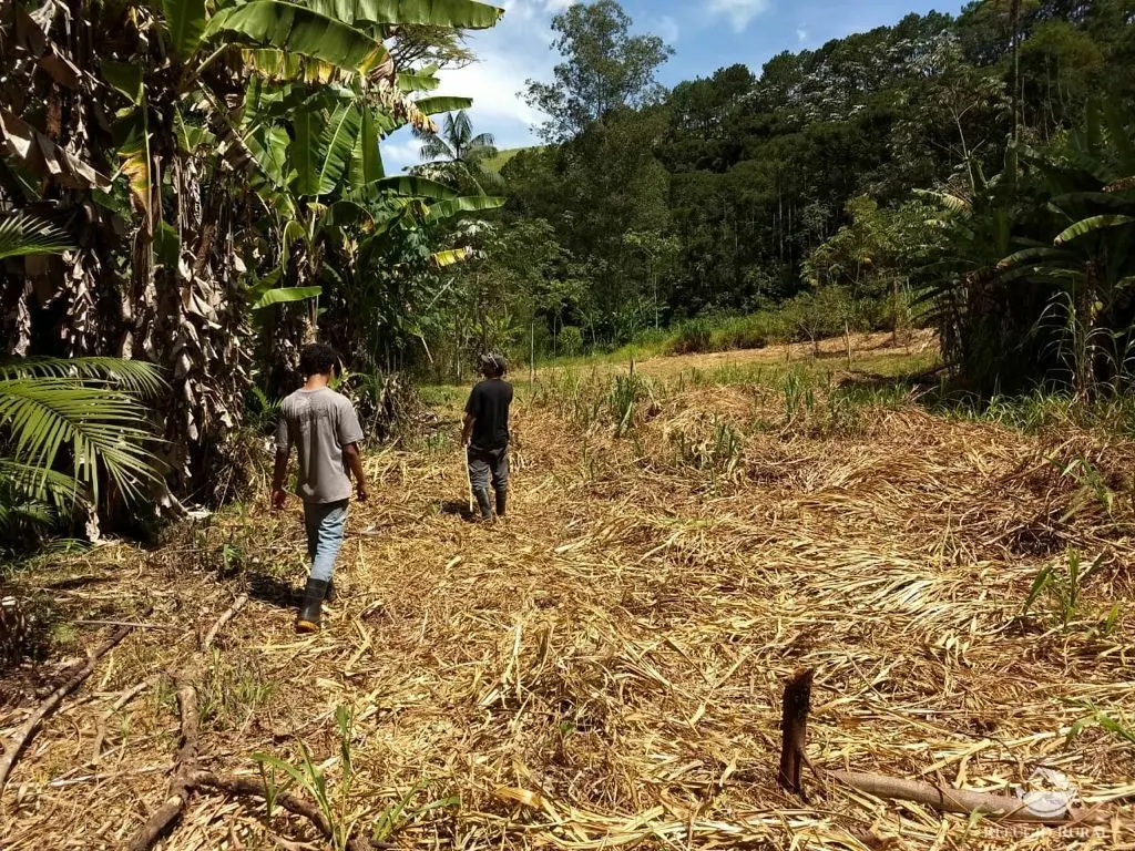 Sítio à venda de 24 ha em Caçapava, SP, Brasil