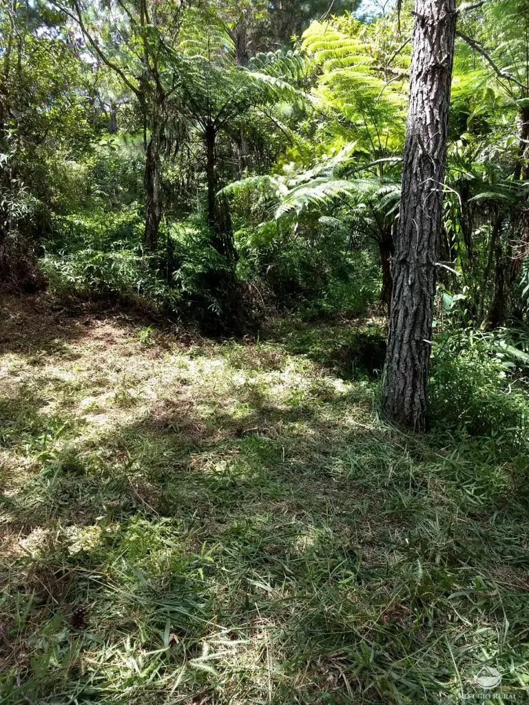 Sítio à venda de 24 ha em Caçapava, SP, Brasil
