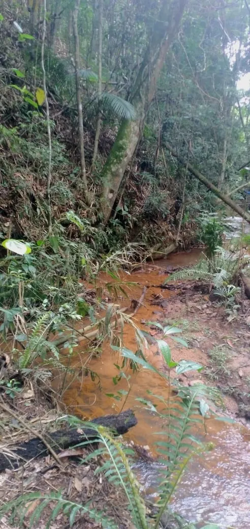 Sítio à venda de 24 ha em Caçapava, SP, Brasil