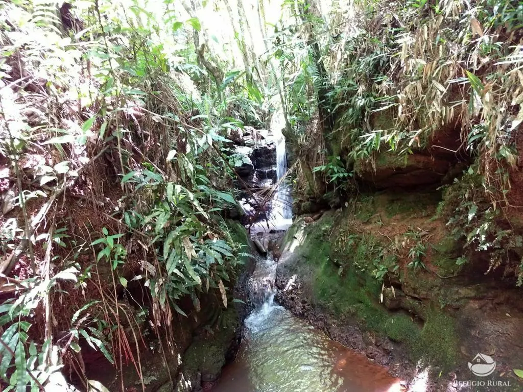 Sítio à venda de 24 ha em Caçapava, SP, Brasil