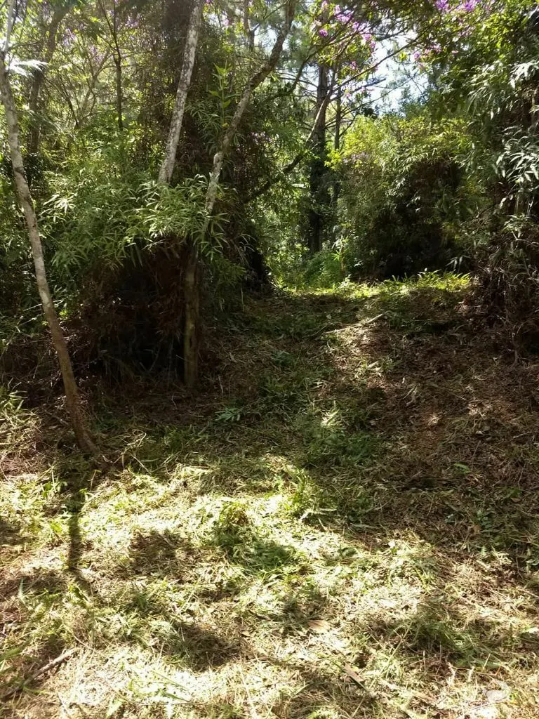 Sítio à venda de 24 ha em Caçapava, SP, Brasil