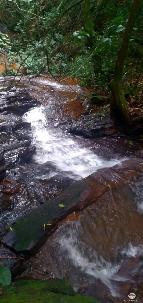 Sítio à venda de 24 ha em Caçapava, SP, Brasil