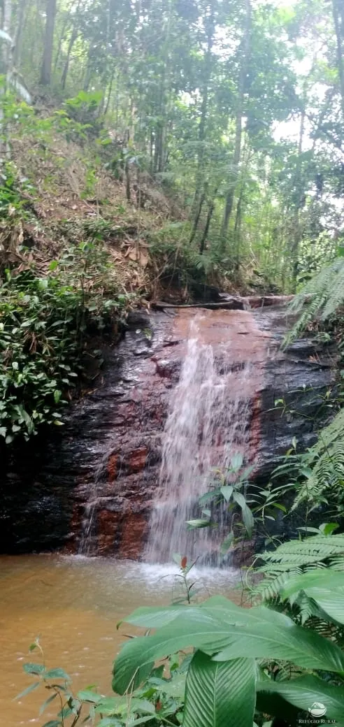 Sítio à venda de 24 ha em Caçapava, SP, Brasil