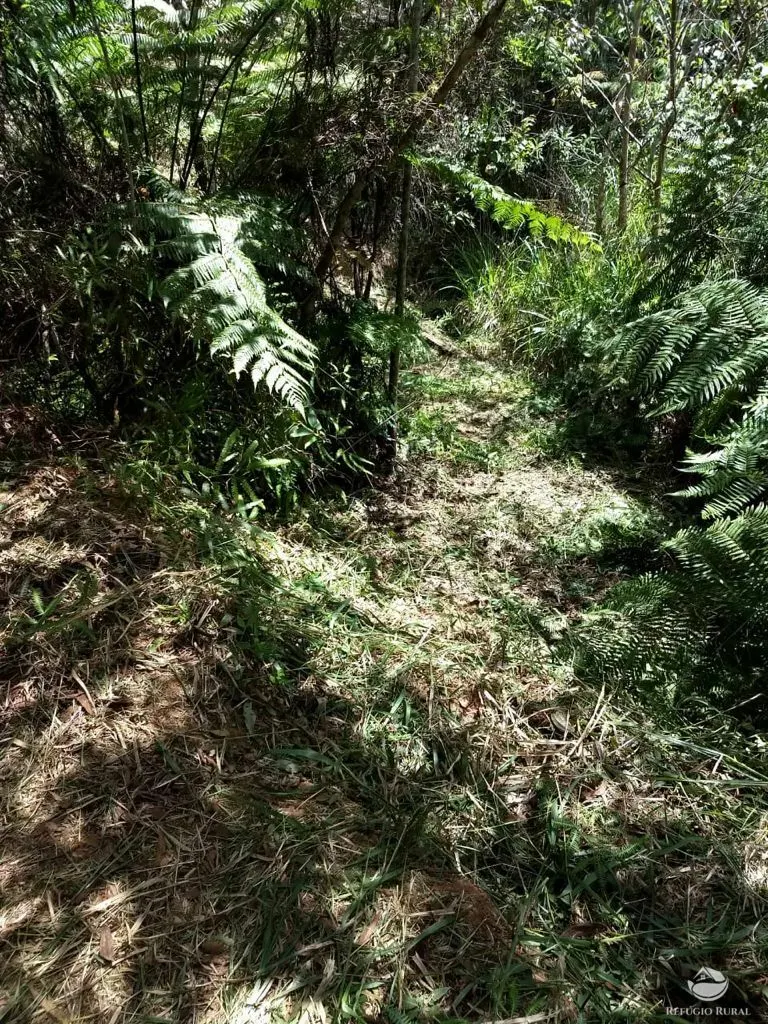 Sítio à venda de 24 ha em Caçapava, SP, Brasil