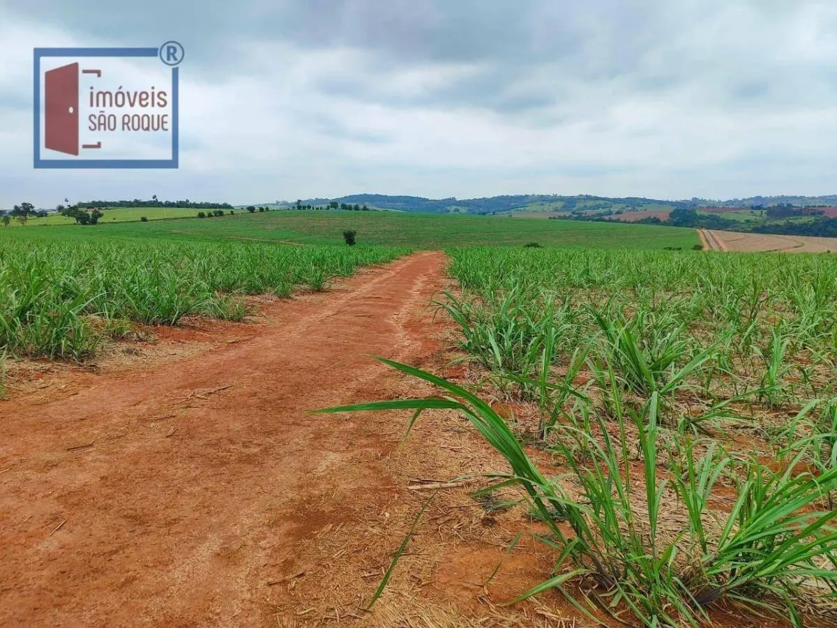 Fazenda à venda de 102 ha em Itapetininga, SP, Brasil