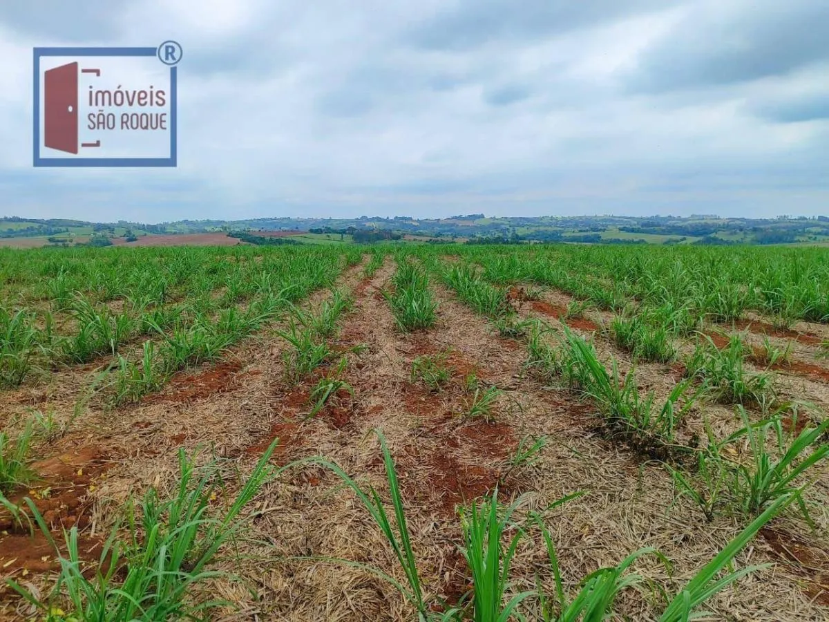 Fazenda à venda de 102 ha em Itapetininga, SP, Brasil