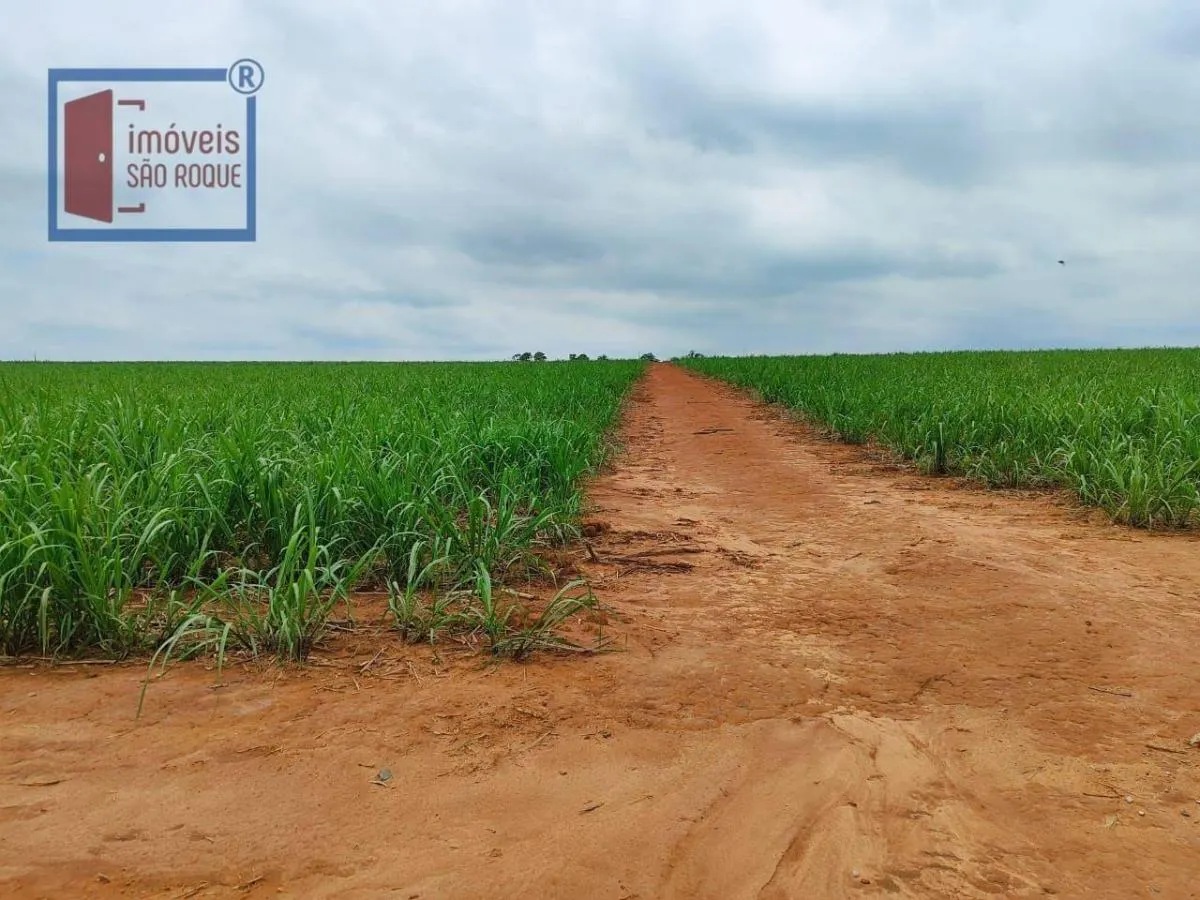 Fazenda à venda de 102 ha em Itapetininga, SP, Brasil