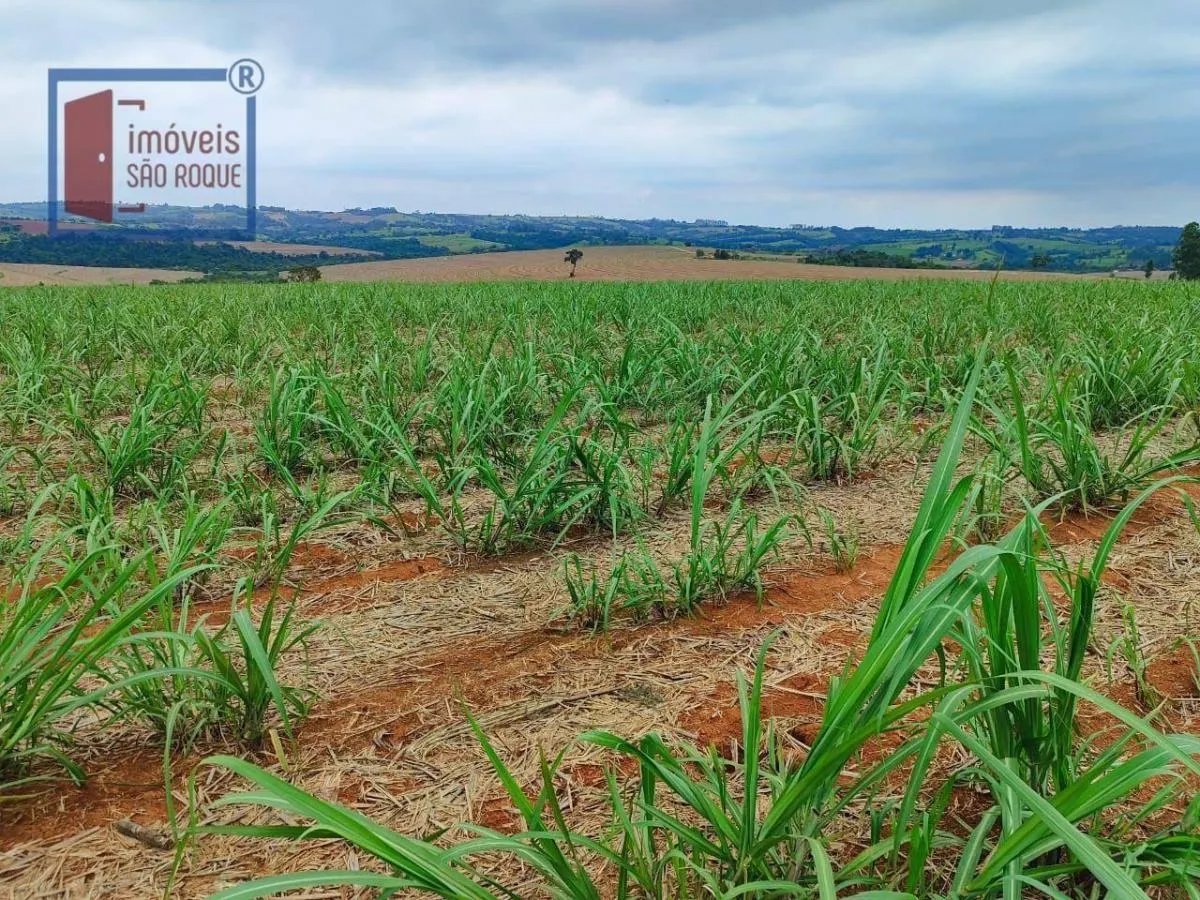 Fazenda à venda de 102 ha em Itapetininga, SP, Brasil