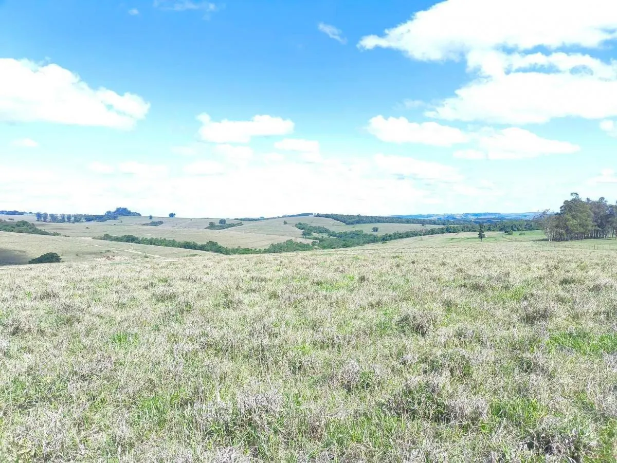 Fazenda à venda de 676 ha em Itaporanga, SP, Brasil