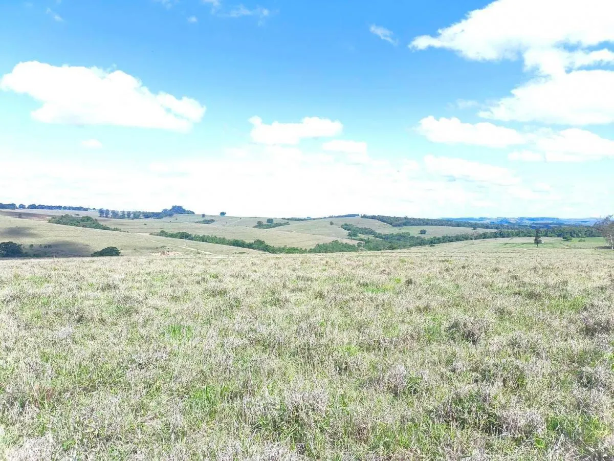 Fazenda à venda de 676 ha em Itaporanga, SP, Brasil