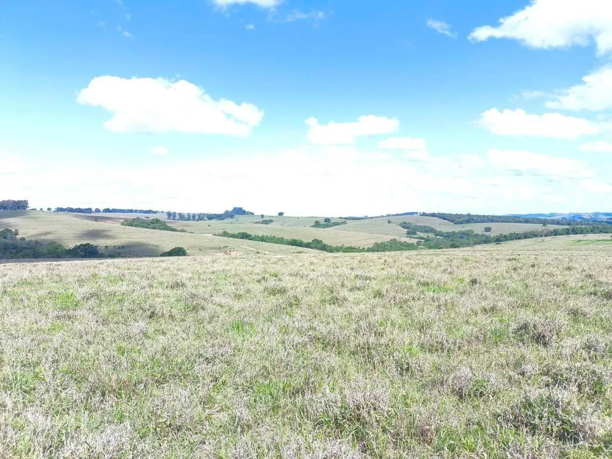 Fazenda à venda de 676 ha em Itaporanga, SP, Brasil