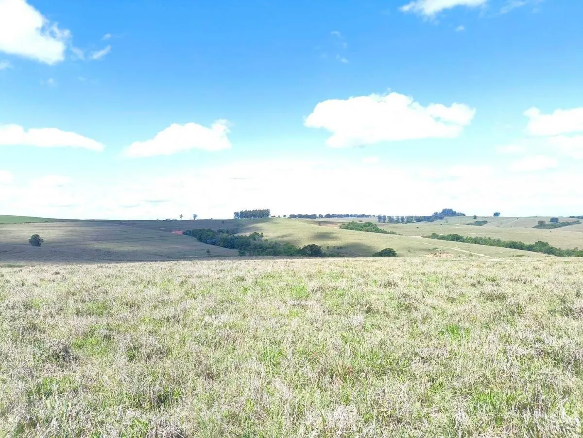Fazenda à venda de 676 ha em Itaporanga, SP, Brasil