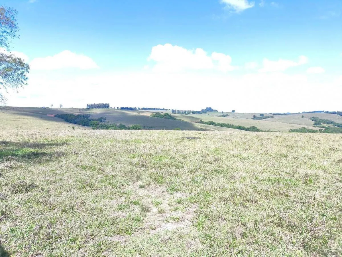 Fazenda à venda de 676 ha em Itaporanga, SP, Brasil