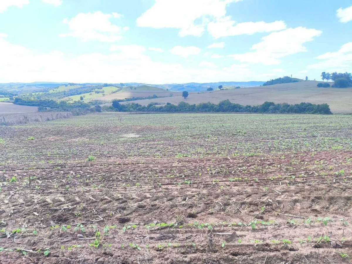 Fazenda à venda de 676 ha em Itaporanga, SP, Brasil