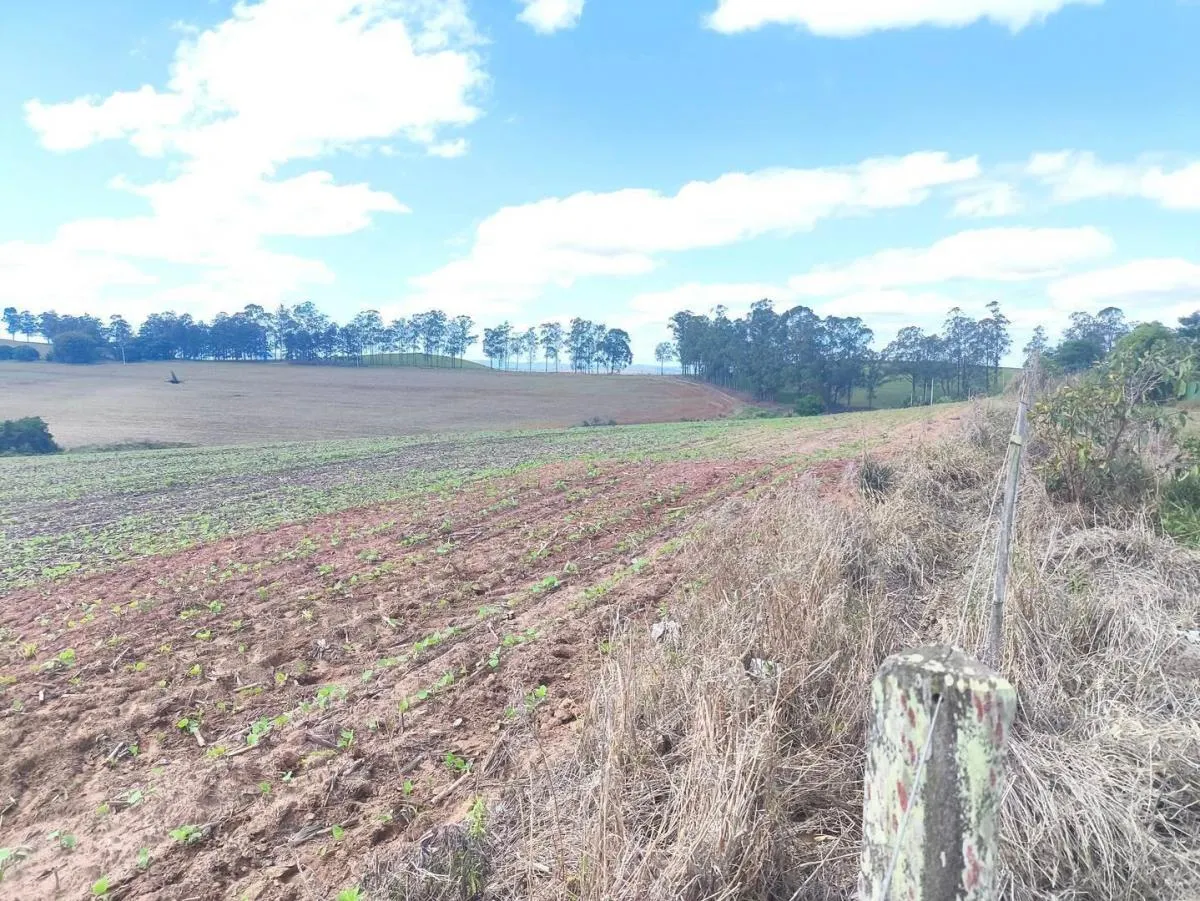 Fazenda à venda de 676 ha em Itaporanga, SP, Brasil