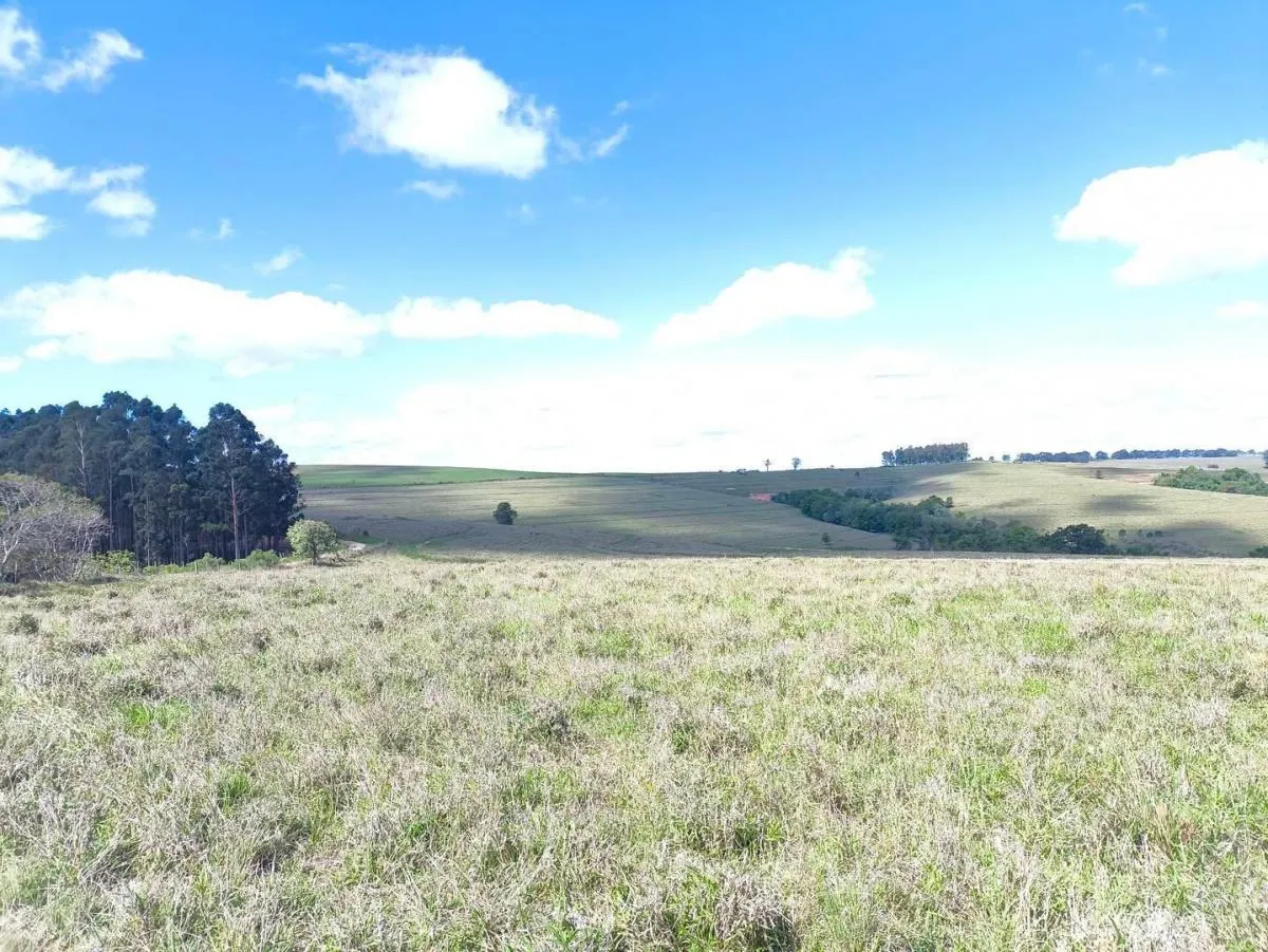 Fazenda à venda de 676 ha em Itaporanga, SP, Brasil