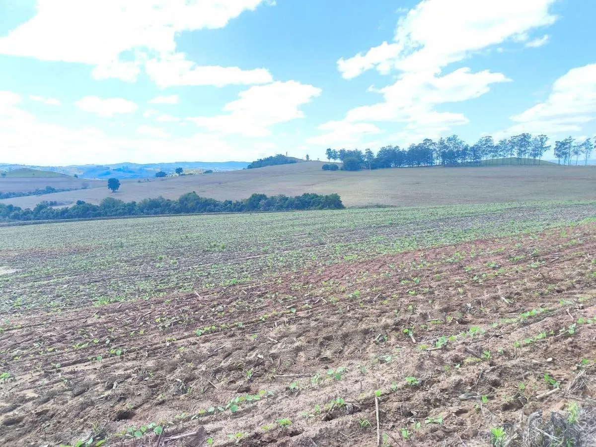 Fazenda à venda de 676 ha em Itaporanga, SP, Brasil