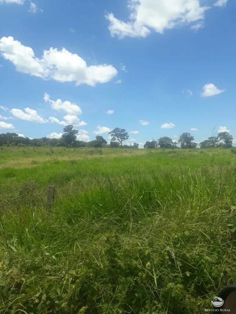 Fazenda à venda de 4.152 ha em Ivolândia, GO, Brasil