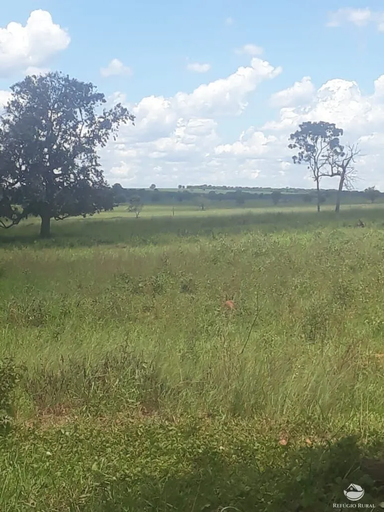 Fazenda à venda de 4.152 ha em Ivolândia, GO, Brasil