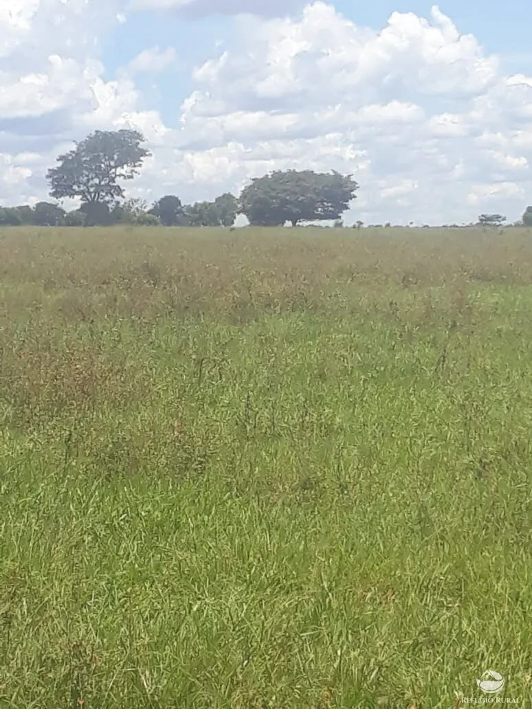 Fazenda à venda de 4.152 ha em Ivolândia, GO, Brasil