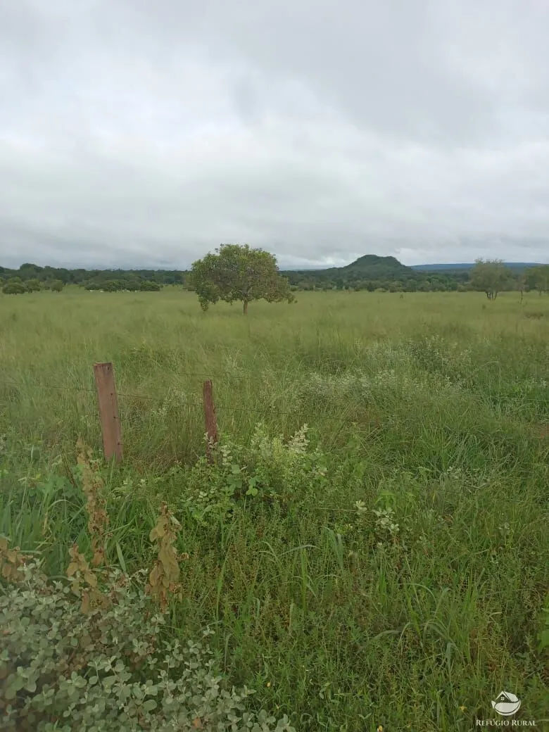 Fazenda à venda de 4.152 ha em Ivolândia, GO, Brasil