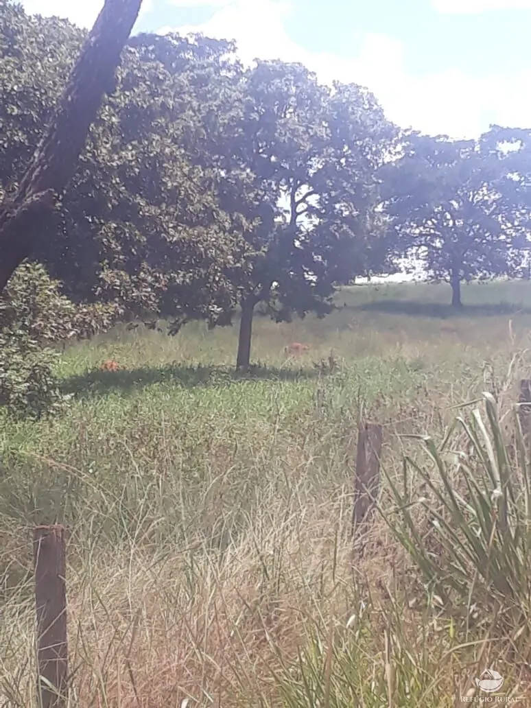 Fazenda à venda de 4.152 ha em Ivolândia, GO, Brasil