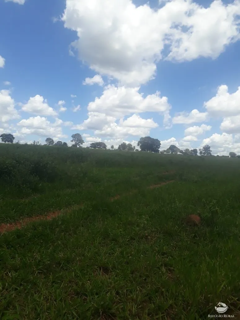 Fazenda à venda de 4.152 ha em Ivolândia, GO, Brasil
