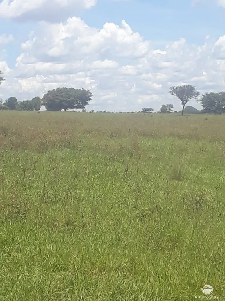 Fazenda à venda de 4.152 ha em Ivolândia, GO, Brasil