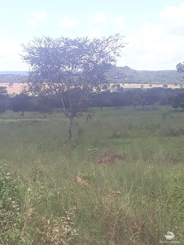 Fazenda à venda de 4.152 ha em Ivolândia, GO, Brasil