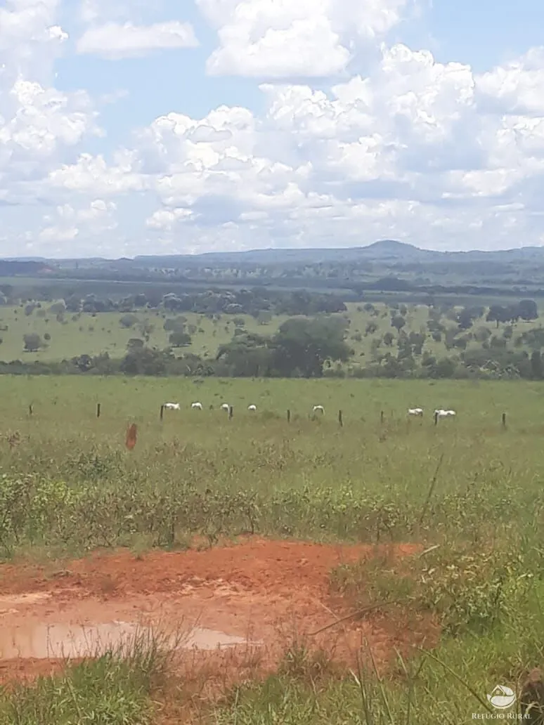Fazenda à venda de 4.152 ha em Ivolândia, GO, Brasil