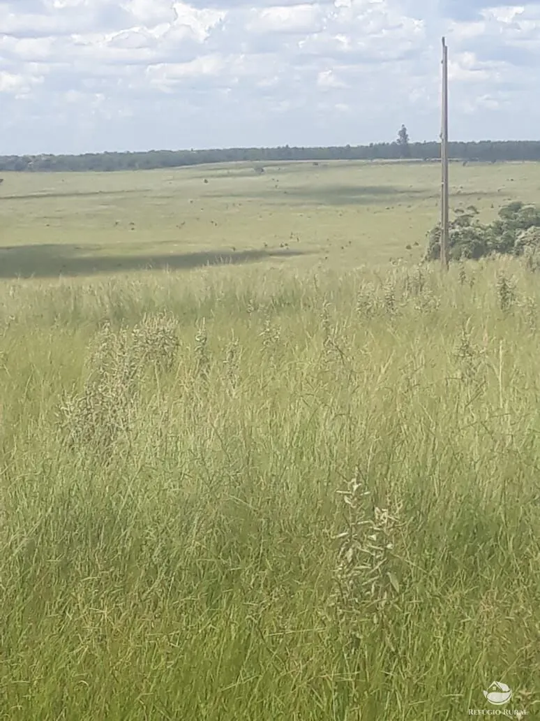 Fazenda à venda de 4.152 ha em Ivolândia, GO, Brasil