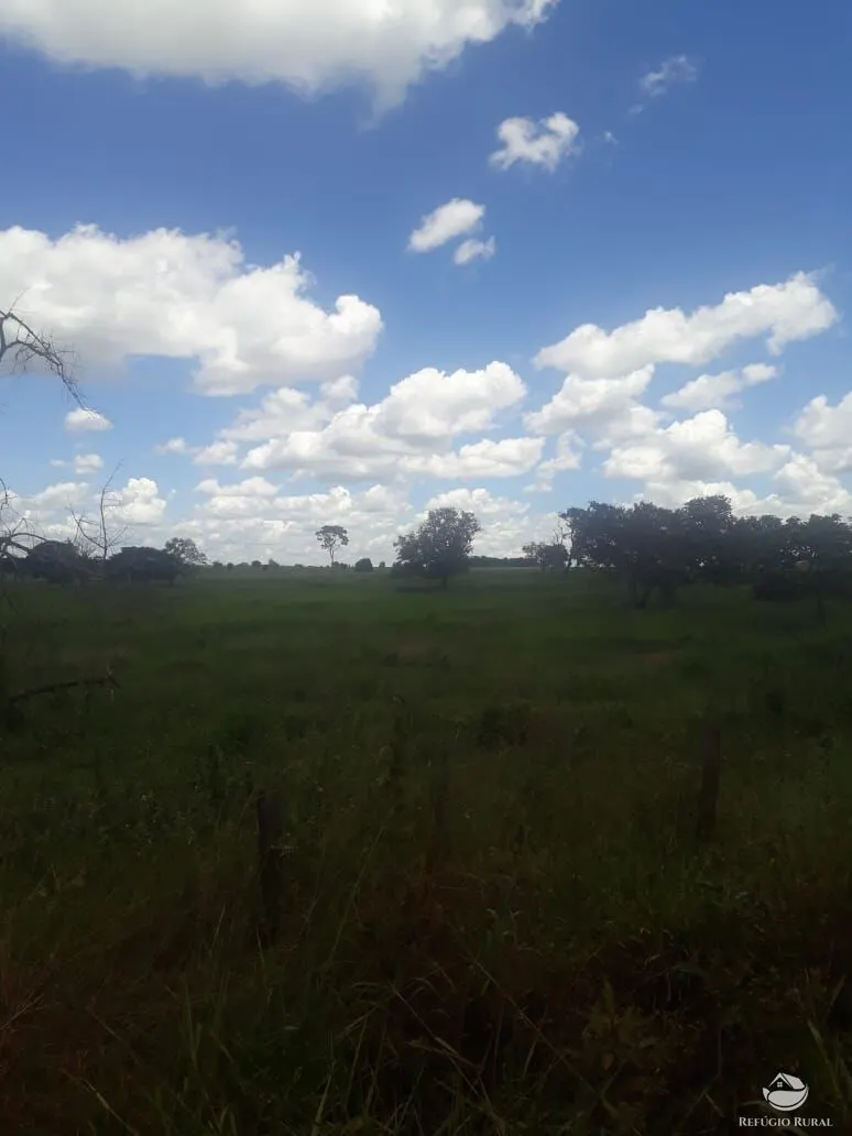 Fazenda à venda de 4.152 ha em Ivolândia, GO, Brasil
