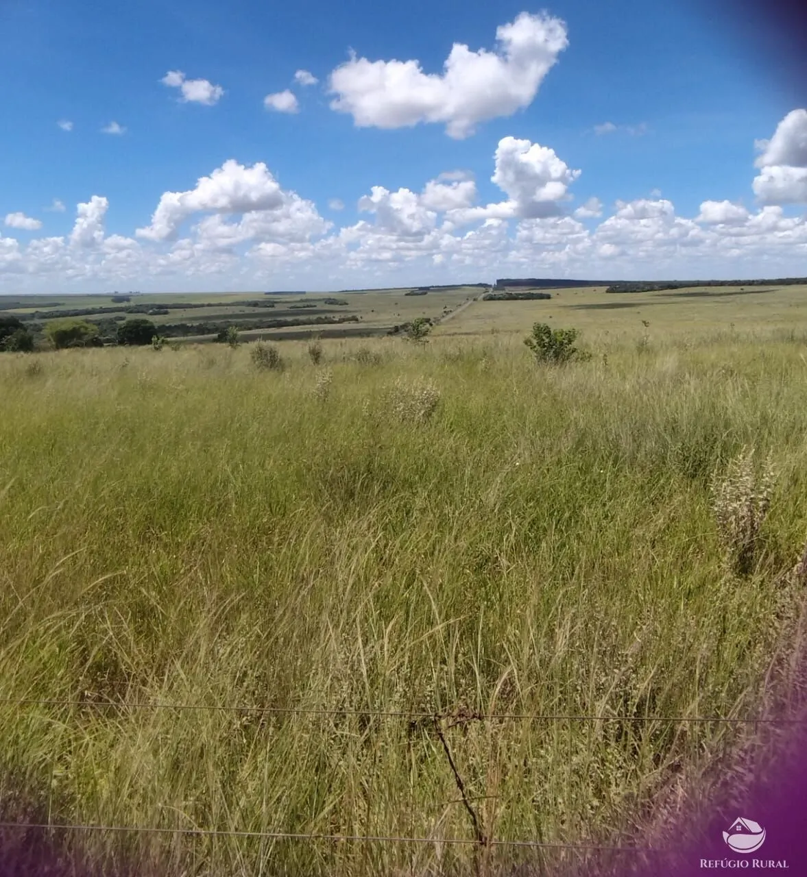 Fazenda à venda de 4.152 ha em Ivolândia, GO, Brasil