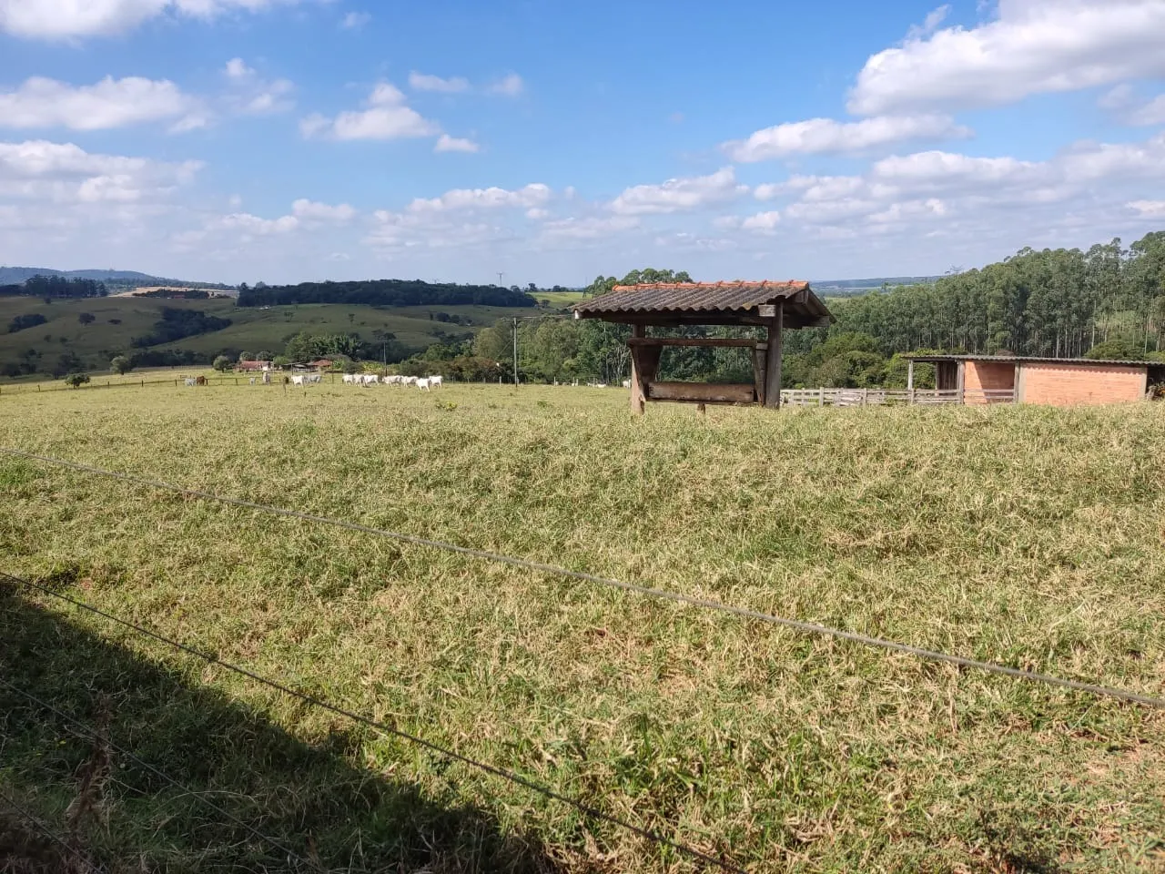 Small farm for sale of 132 acres in Campina do Monte Alegre, SP, Brazil