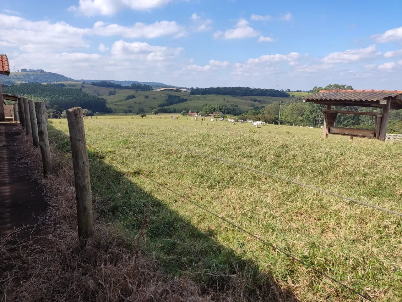 Small farm for sale of 132 acres in Campina do Monte Alegre, SP, Brazil