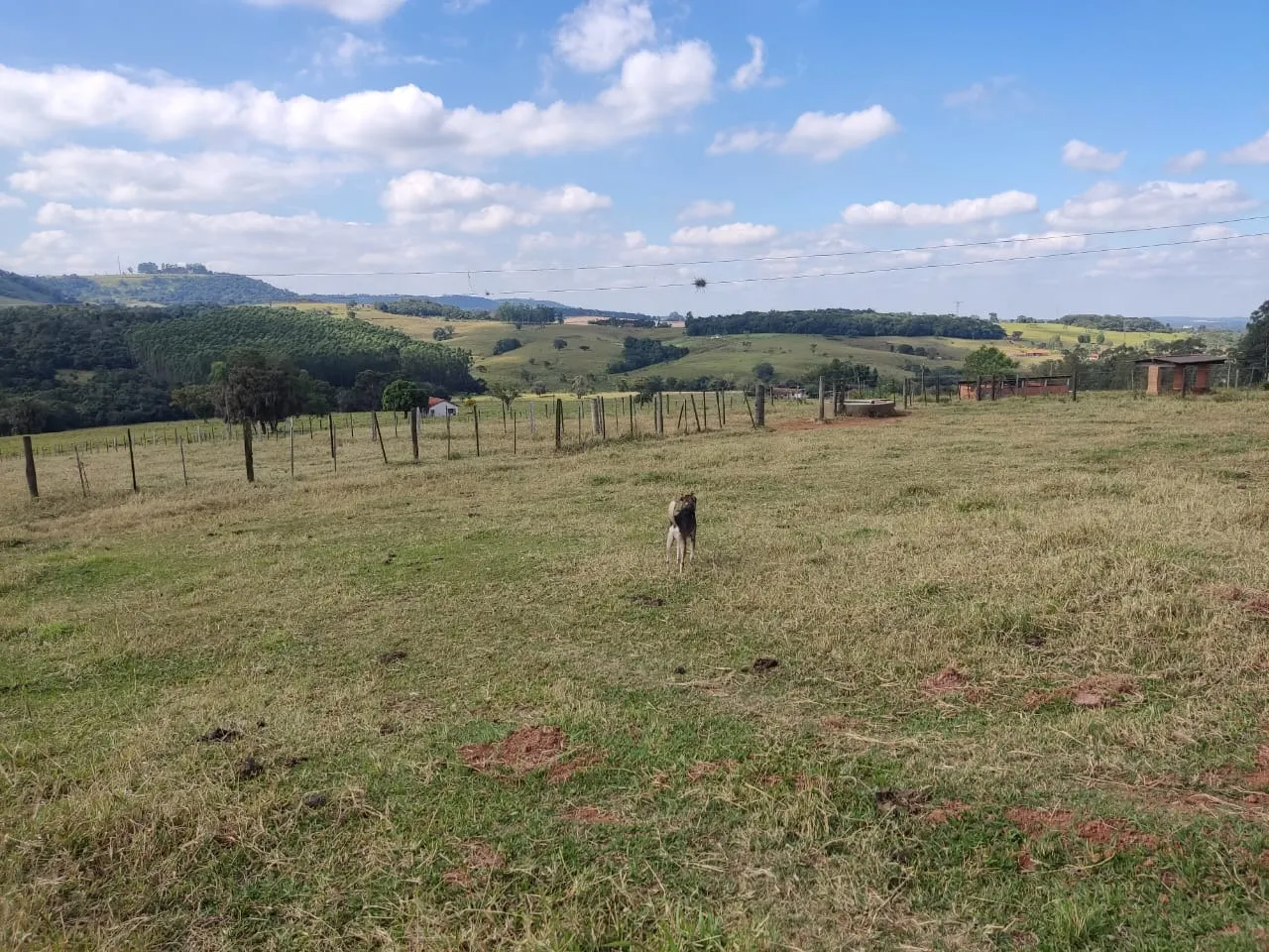 Small farm for sale of 132 acres in Campina do Monte Alegre, SP, Brazil