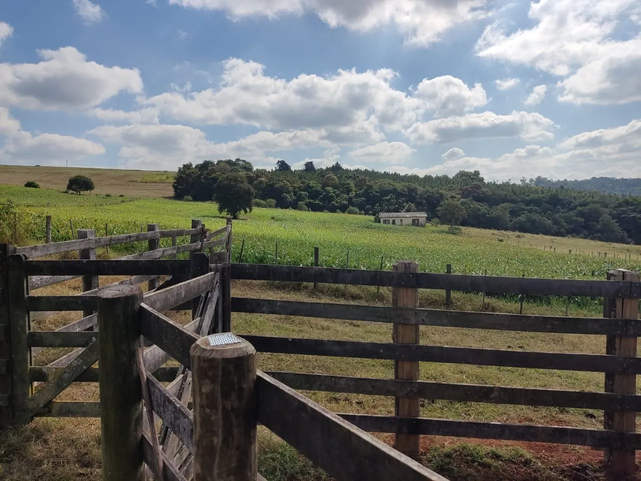 Small farm for sale of 132 acres in Campina do Monte Alegre, SP, Brazil