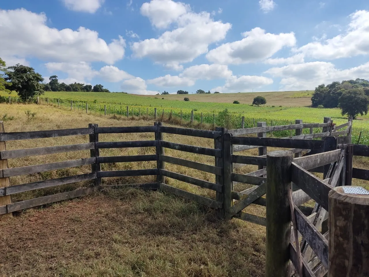 Small farm for sale of 132 acres in Campina do Monte Alegre, SP, Brazil
