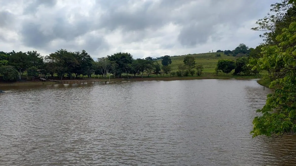 Fazenda à venda de 123 ha em Itapetininga, SP, Brasil