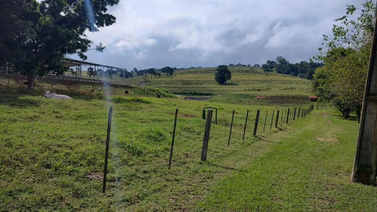Fazenda à venda de 123 ha em Itapetininga, SP, Brasil