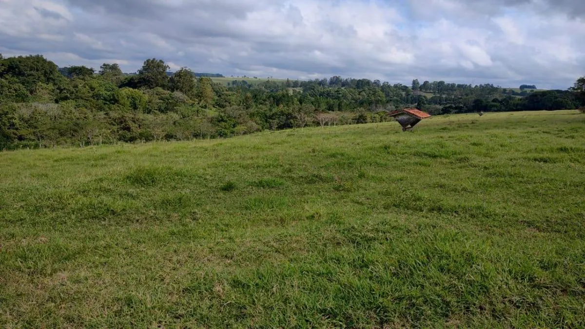 Fazenda à venda de 123 ha em Itapetininga, SP, Brasil