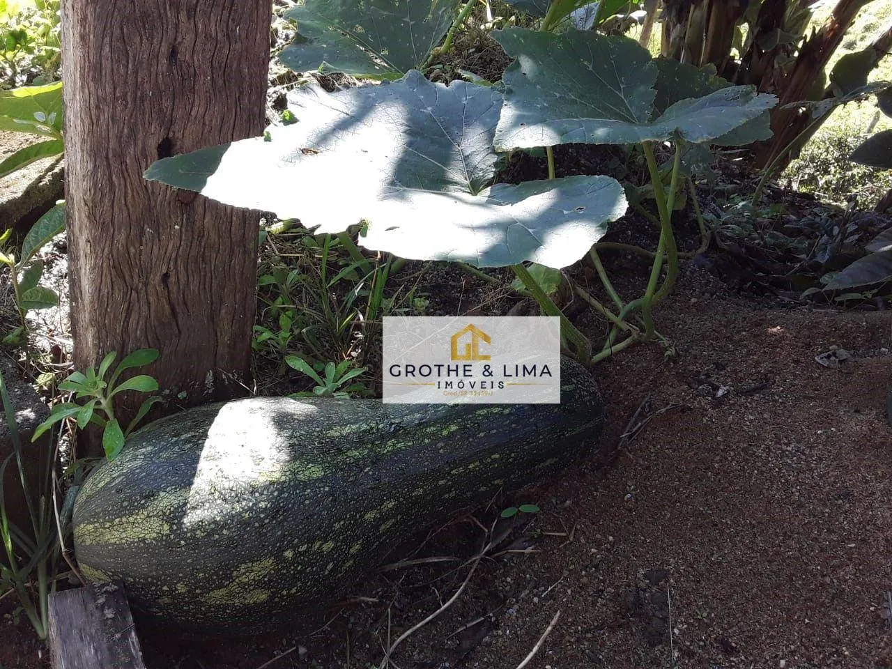 Country home for sale of 12 acres in São Luiz do Paraitinga, SP, Brazil
