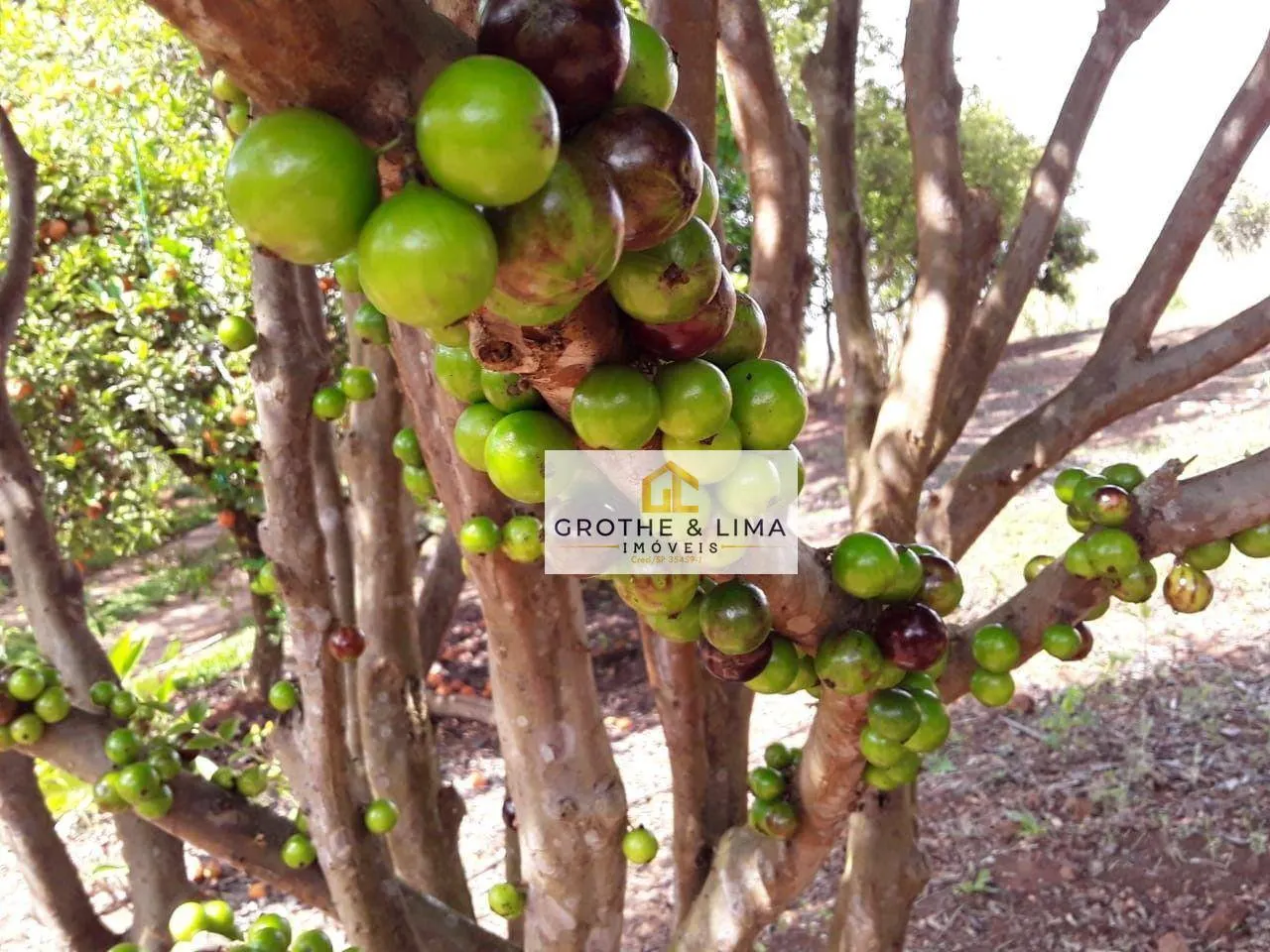 Country home for sale of 12 acres in São Luiz do Paraitinga, SP, Brazil