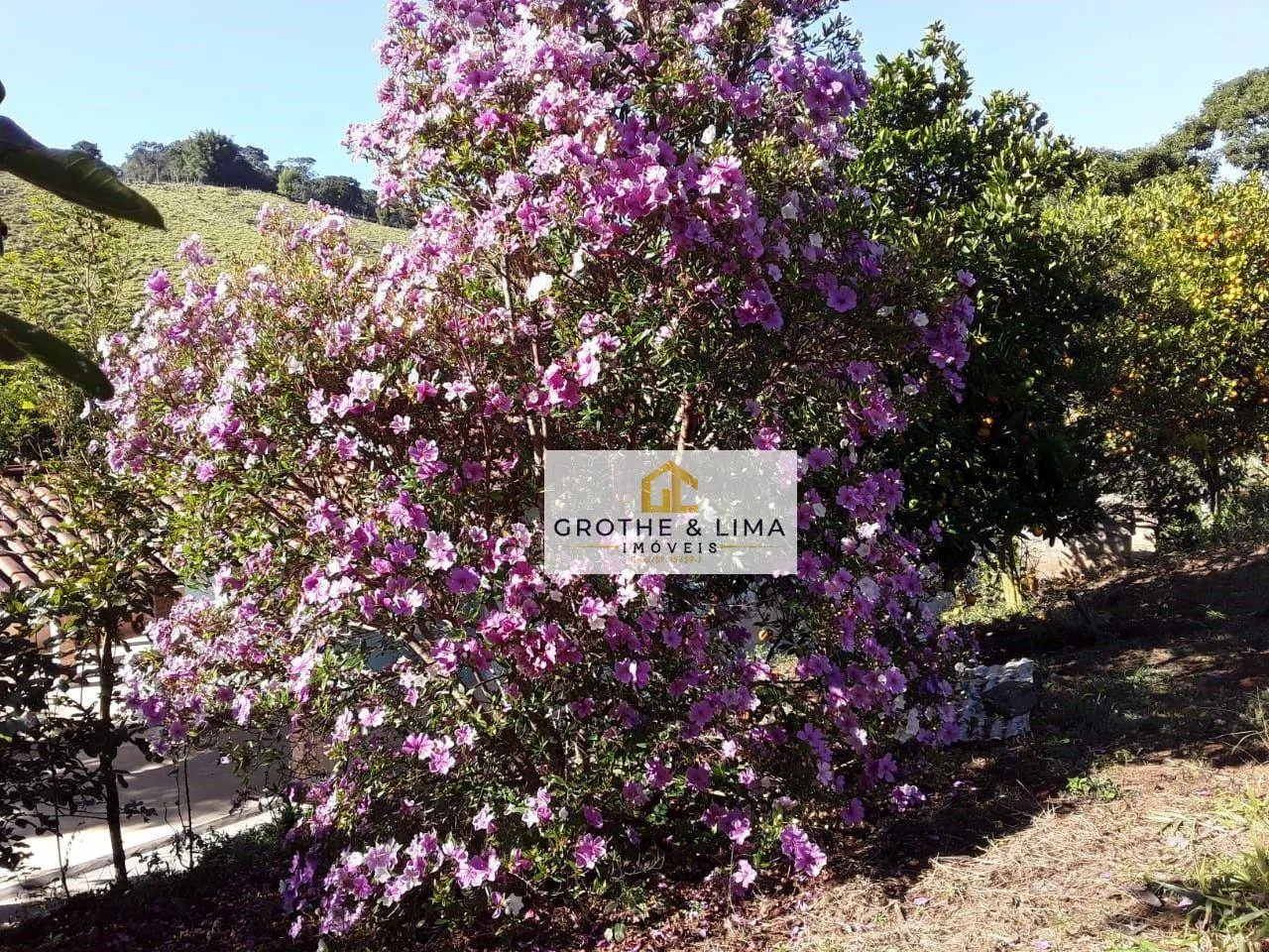 Country home for sale of 12 acres in São Luiz do Paraitinga, SP, Brazil